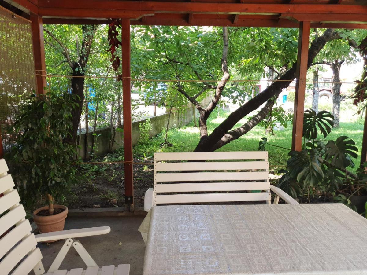 Broj Jedan Delux Villa Soko Banja Ngoại thất bức ảnh