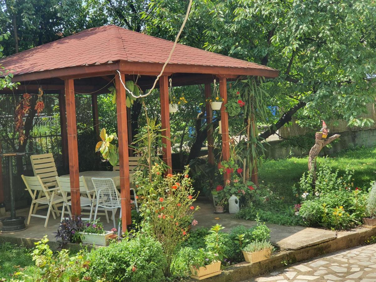 Broj Jedan Delux Villa Soko Banja Ngoại thất bức ảnh